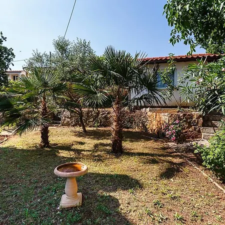 Seka Appartement Risika