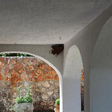 Seka Lejlighed Risika