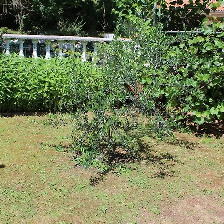 Seka Apartment Risika