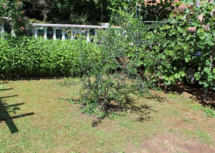 Seka Apartament Risika