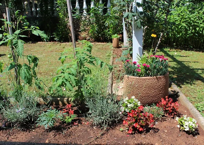 Διαμέρισμα Seka